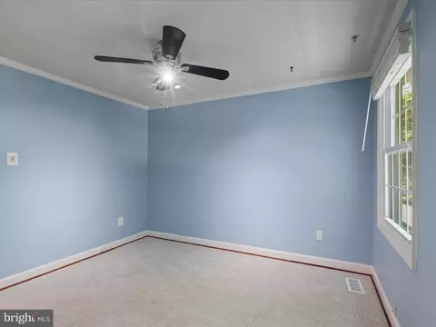 5706 Heming Ave, Springfield, VA 22151 photo 31