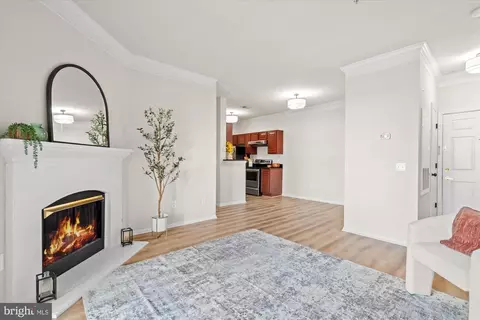 1571 Spring Gate Dr #6213, Mclean, VA 22102 photo 3
