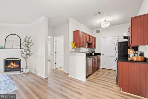 1571 Spring Gate Dr #6213, Mclean, VA 22102 photo 4