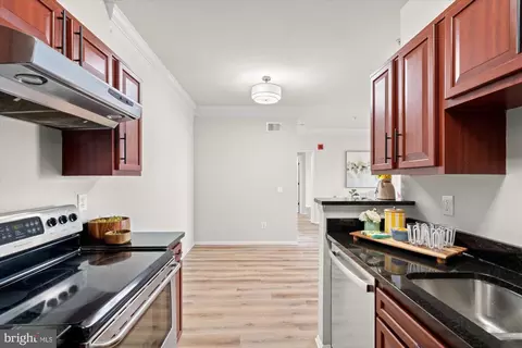 1571 Spring Gate Dr #6213, Mclean, VA 22102 photo 8