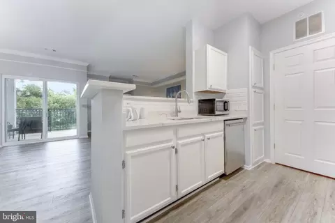 Other - 1600 Spring Gate Dr #2406, Mclean, VA 22102 photo 3 of 20