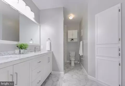 Bath - 1600 Spring Gate Dr #2406, Mclean, VA 22102 photo 1 of 2