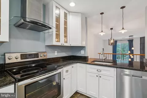8482 Springfield Oaks Dr, Springfield, VA 22153 photo 6