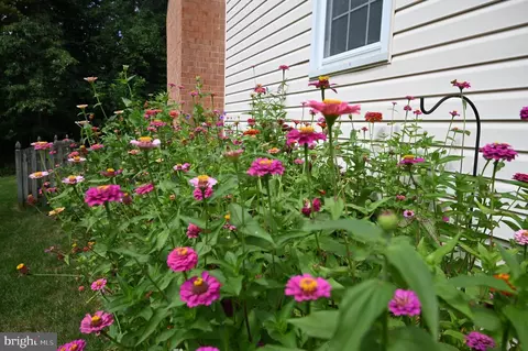 7206 Joshua Tree Ln, Springfield, VA 22152 photo 50