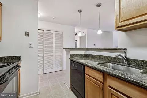 3176 Summit Square Dr #4-E3, Oakton, VA 22124 photo 12