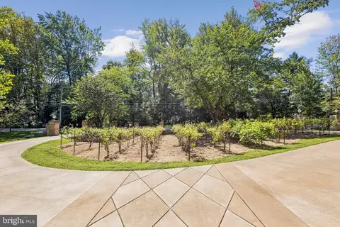 6006 River Dr, Lorton, VA 22079 photo 58