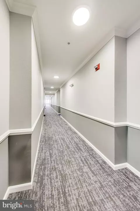 Entry Way - 1571 Spring Gate Dr #6208, Mclean, VA 22102 photo 1 of 4