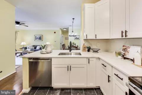 Other - 1571 Spring Gate Dr #6208, Mclean, VA 22102 photo 3 of 12