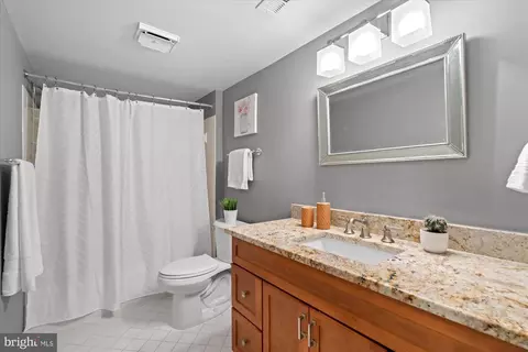 Bath - 7287 Evans Mill Rd, Mclean, VA 22101 photo 5 of 5