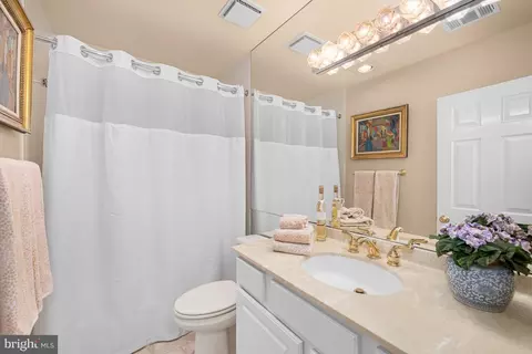 1332 Skipwith Rd, Mclean, VA 22101 photo 18