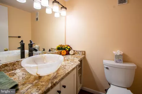 Bath - 2029 Wethersfield Ct, Reston, VA 20191 photo 1 of 4