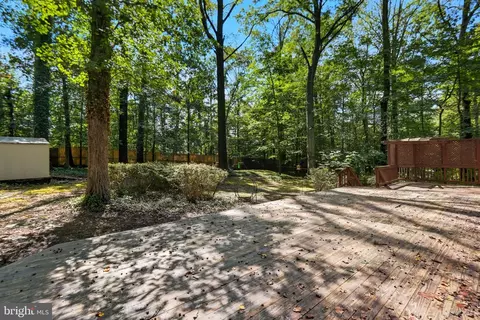 7404 Oriole Ave, Springfield, VA 22150 photo 42
