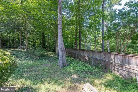 Exterior - 6614 Grey Fox Dr, Springfield, VA 22152 photo 8 of 15