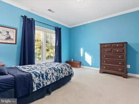 8590 Beatrice Ct, Springfield, VA 22152 photo 27