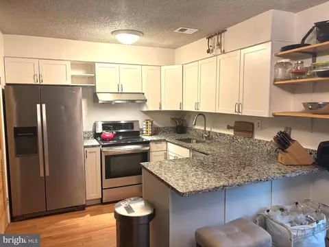 2266 White Cornus Ln, Reston, VA 20191 photo 8
