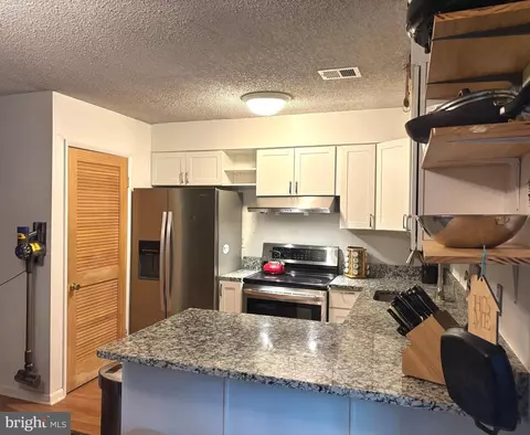 2266 White Cornus Ln, Reston, VA 20191 photo 9