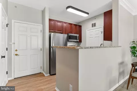 Other - 1521 Spring Gate Dr #10413, Mclean, VA 22102 photo 5 of 11