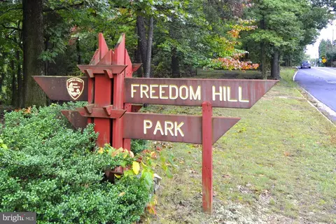 7252 Evans Mill Rd, Mclean, VA 22101 photo 72