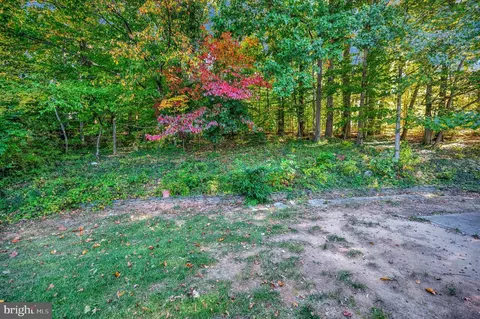 6507 Byron Ave, Springfield, VA 22150 photo 47