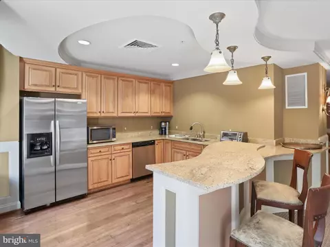 1781 Chain Bridge Rd #303, Mclean, VA 22102 photo 47