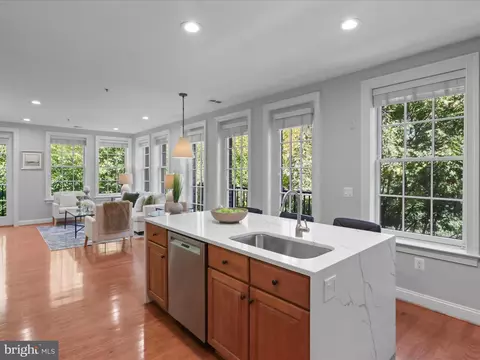 1781 Chain Bridge Rd #303, Mclean, VA 22102 photo 36