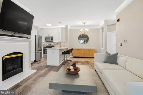 Living - 1580 Spring Gate Dr #4204, Mclean, VA 22102 photo 1 of 3
