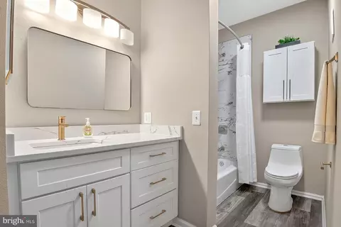 Bath - 1580 Spring Gate Dr #4204, Mclean, VA 22102 photo 1 of 2