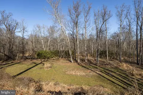 Other - 1416 Lady Bird Dr, Mclean, VA 22101 photo 3 of 14