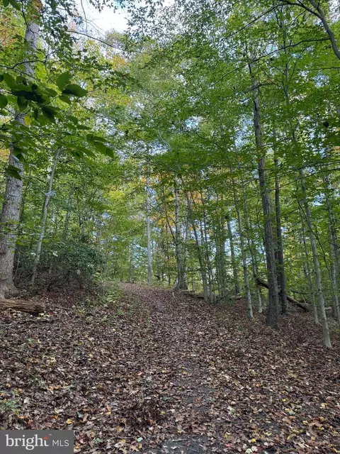 Other - 8715 Wadebrook Ter, Springfield, VA 22153 photo 9 of 12