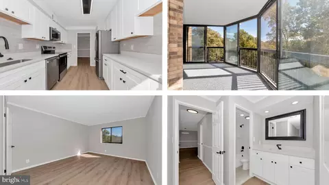 5904 Mount Eagle Dr #210, Alexandria, VA 22303