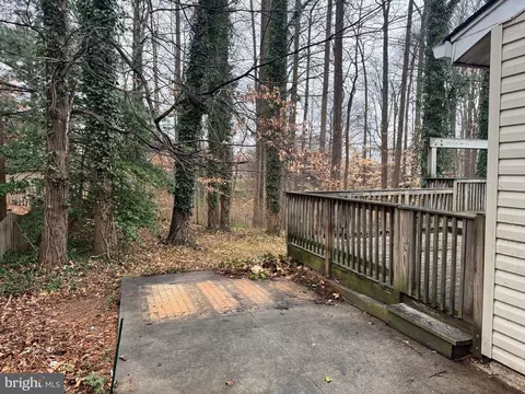 6703 Greenview Ln, Springfield, VA 22152 photo 41