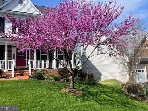Exterior - 7736 White Willow Ct, Springfield, VA 22153 photo 21 of 25