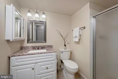 Bath - 7680 Tremayne Pl #308, Mclean, VA 22102 photo 1 of 3
