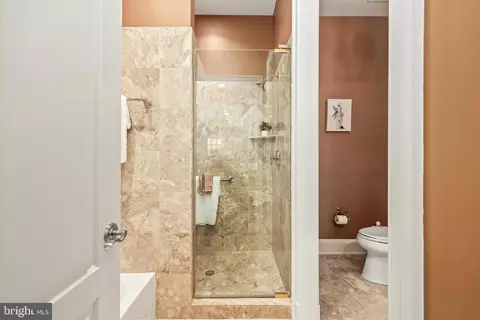 Bath - 8340 Springhaven Garden Ln, Mclean, VA 22102 photo 3 of 7