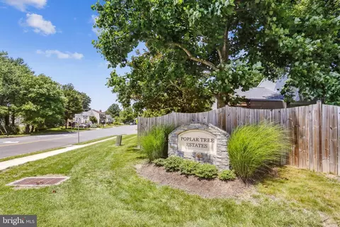 View/Area - 4511 Stone Pine Ct, Chantilly, VA 20151 photo 4 of 4