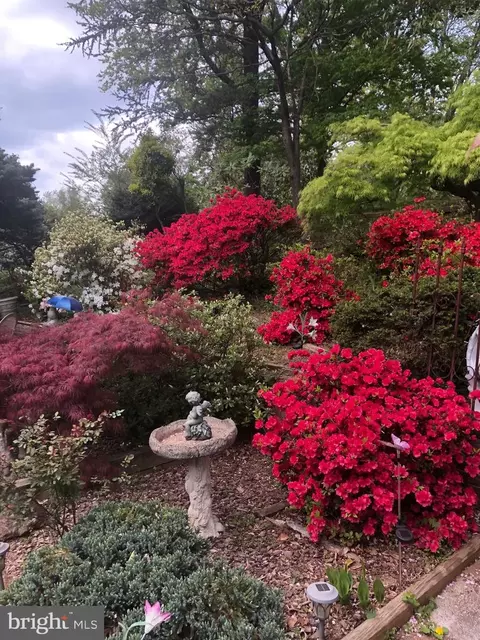 Exterior - 6144 Chesterbrook Rd, Mclean, VA 22101 photo 15 of 25