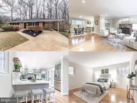 5638 Bellington Ave, Springfield, VA 22151