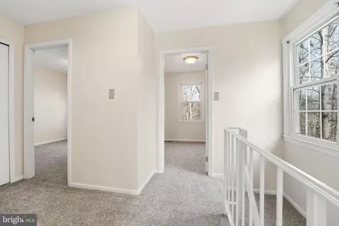 7900 Forest Path Way, Springfield, VA 22153 photo 18