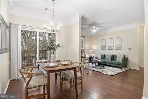 Dining - 1600 Spring Gate Dr #2204, Mclean, VA 22102 photo 1 of 2