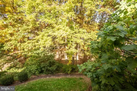 8924 Peoria Ct, Springfield, VA 22153 photo 39