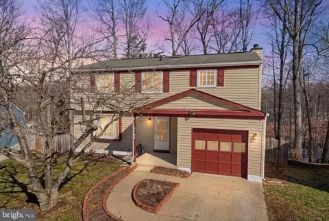 8303 White Star Ct, Springfield, VA 22153