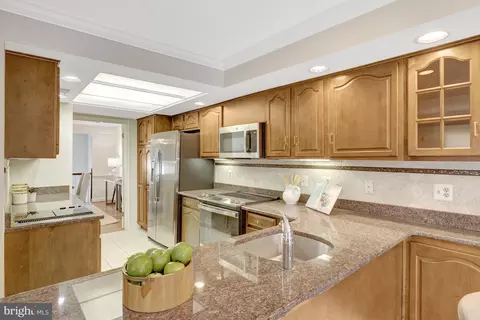 6601 Madison Mclean Dr, Mclean, VA 22101 photo 10