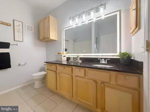 1530 Spring Gate Dr #9317, Mclean, VA 22102 photo 23