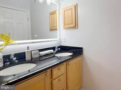 1530 Spring Gate Dr #9317, Mclean, VA 22102 photo 39