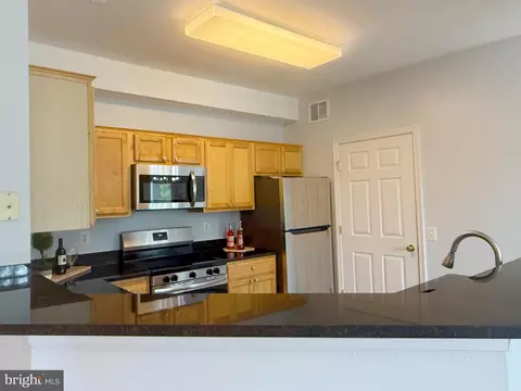 1530 Spring Gate Dr #9317, Mclean, VA 22102 photo 13
