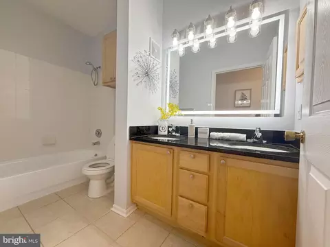 1530 Spring Gate Dr #9317, Mclean, VA 22102 photo 40