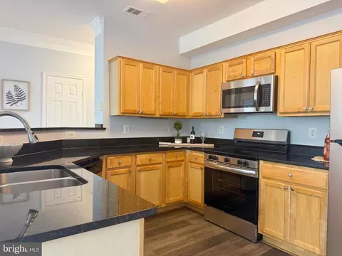 1530 Spring Gate Dr #9317, Mclean, VA 22102 photo 14