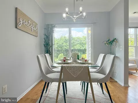 1530 Spring Gate Dr #9317, Mclean, VA 22102 photo 9