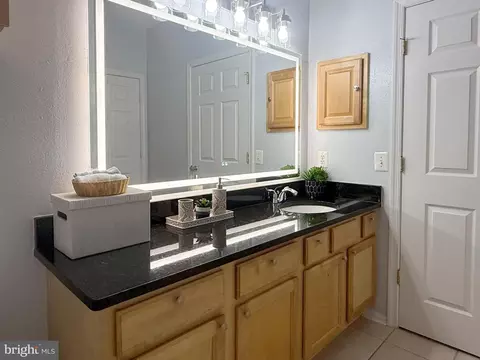 1530 Spring Gate Dr #9317, Mclean, VA 22102 photo 24