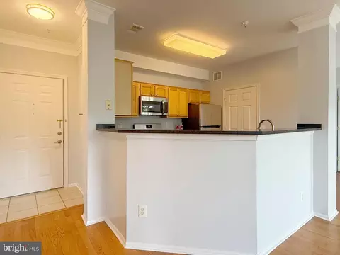 1530 Spring Gate Dr #9317, Mclean, VA 22102 photo 12